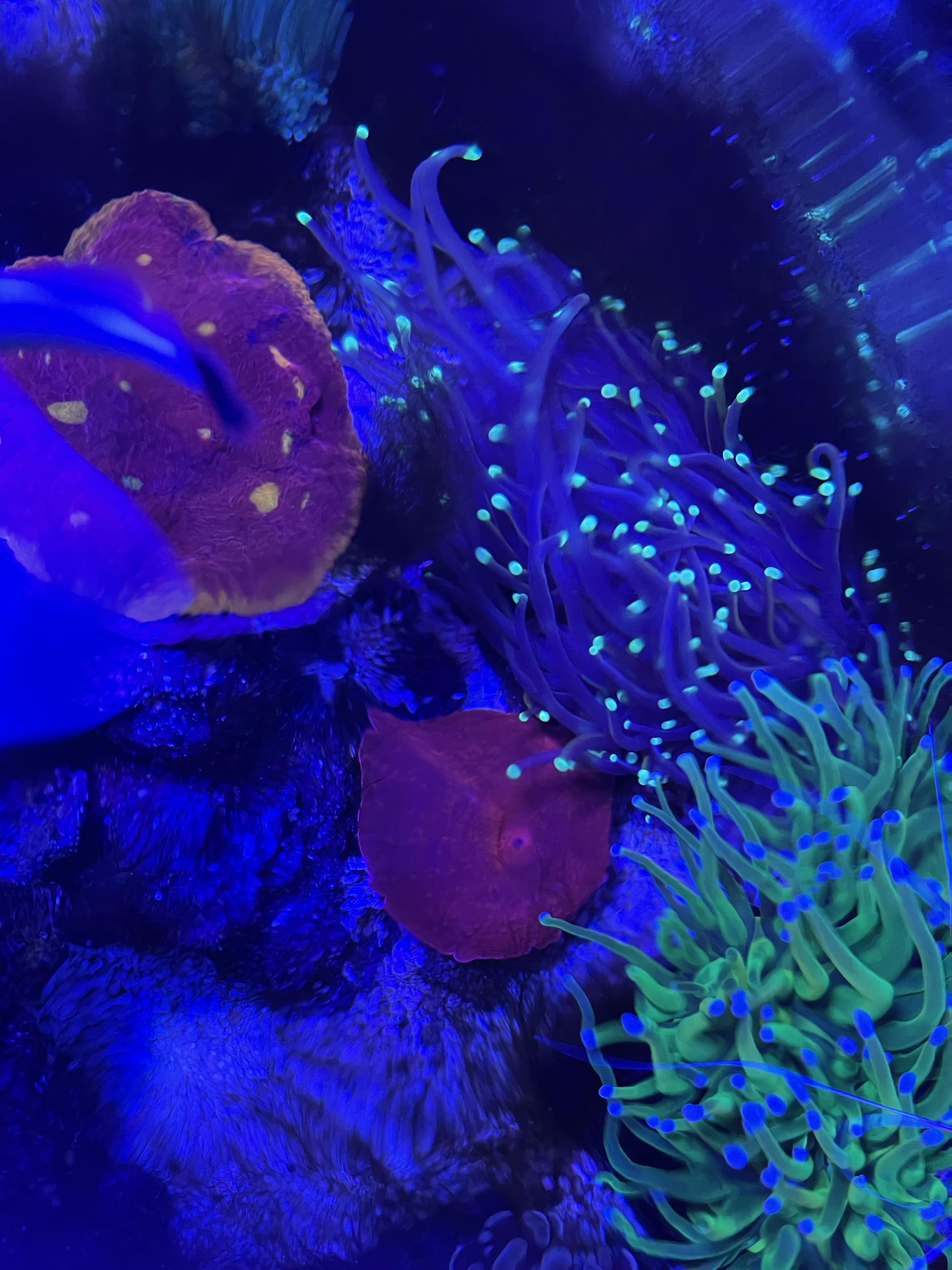 704e81d08f001608ec598ff6cb2da900.jpg