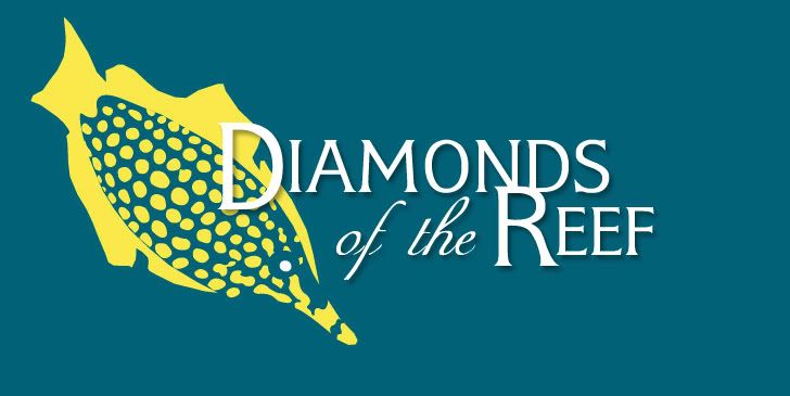 reefdiamonds.jpg